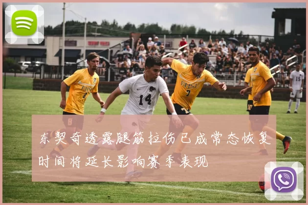 东契奇透露腿筋拉伤已成常态恢复时间将延长影响赛季表现