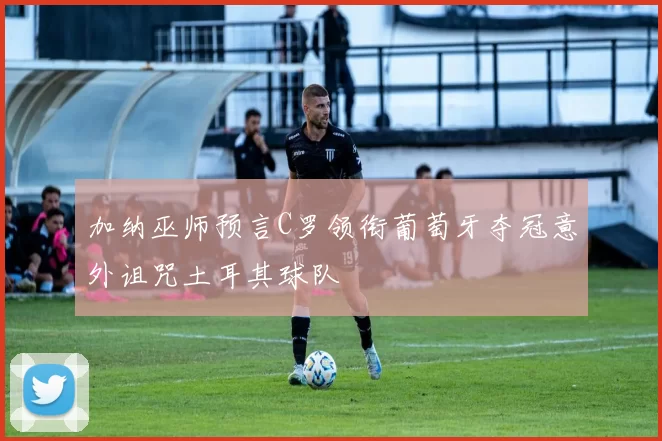 加纳巫师预言C罗领衔葡萄牙夺冠意外诅咒土耳其球队